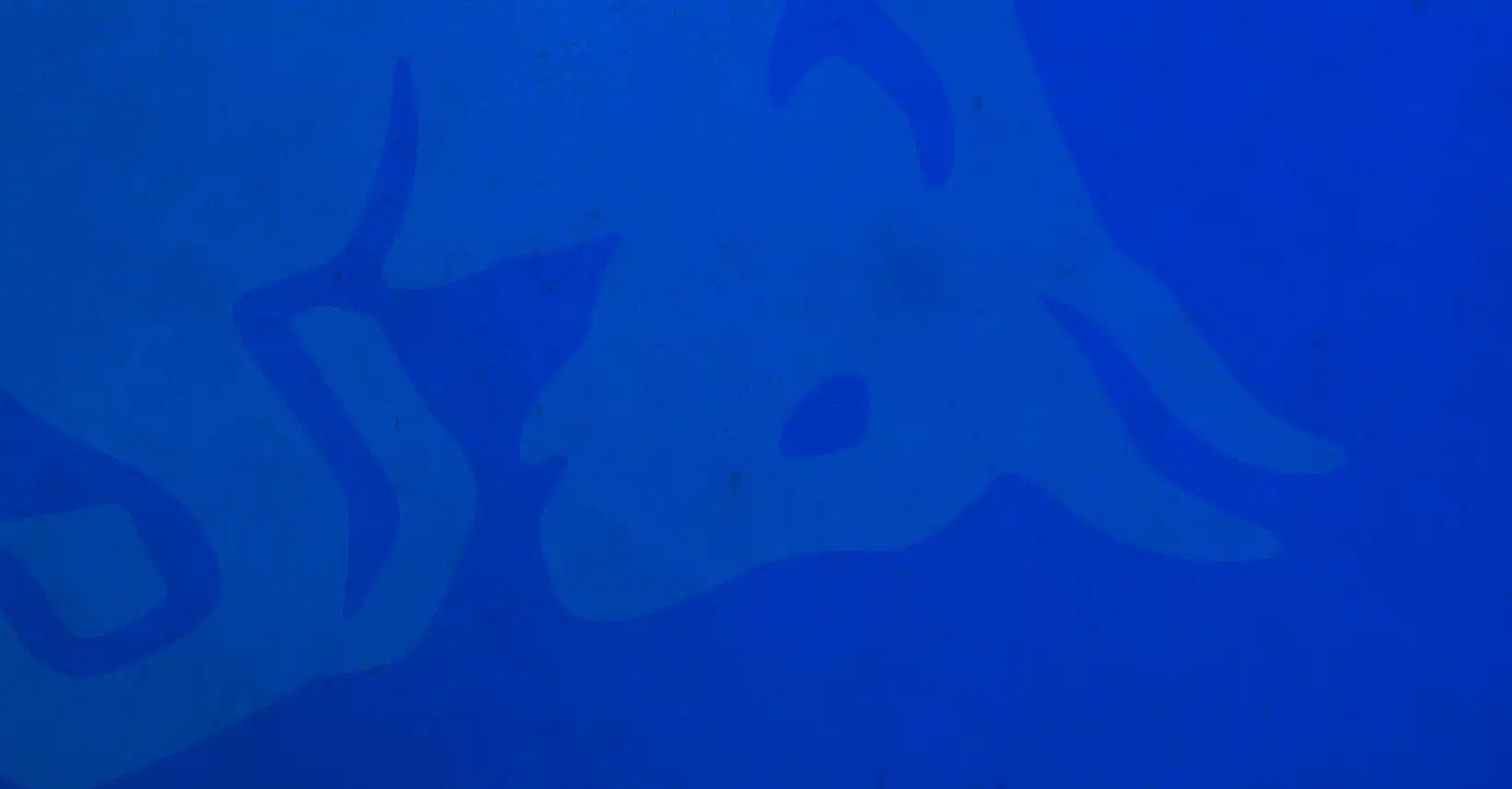 AlphaTauri change officiellement de nom et devient Visa Cash App RB