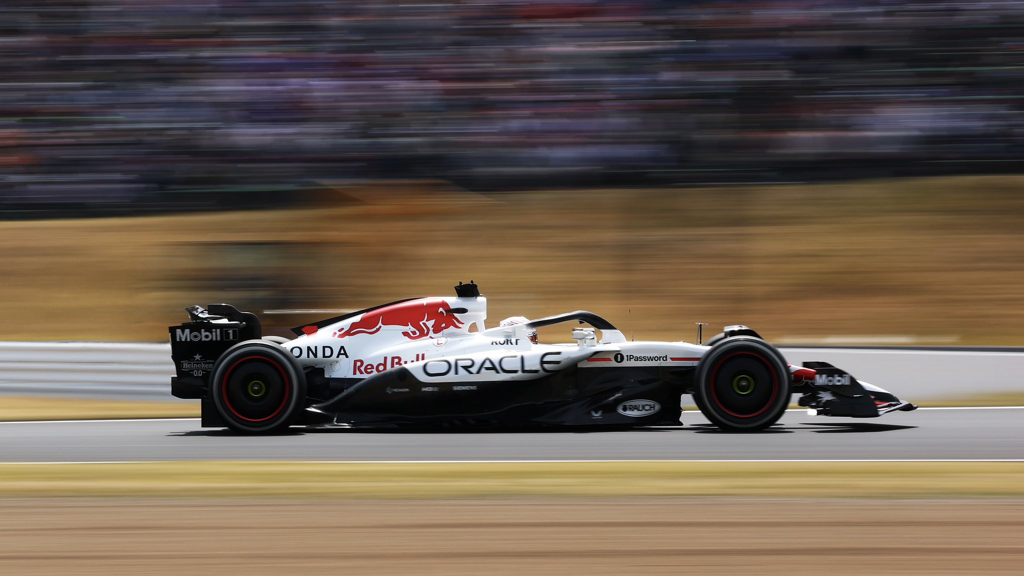 Verstappen arrache la pole pour 12 millièmes à Suzuka ! max verstappen en pole au japon