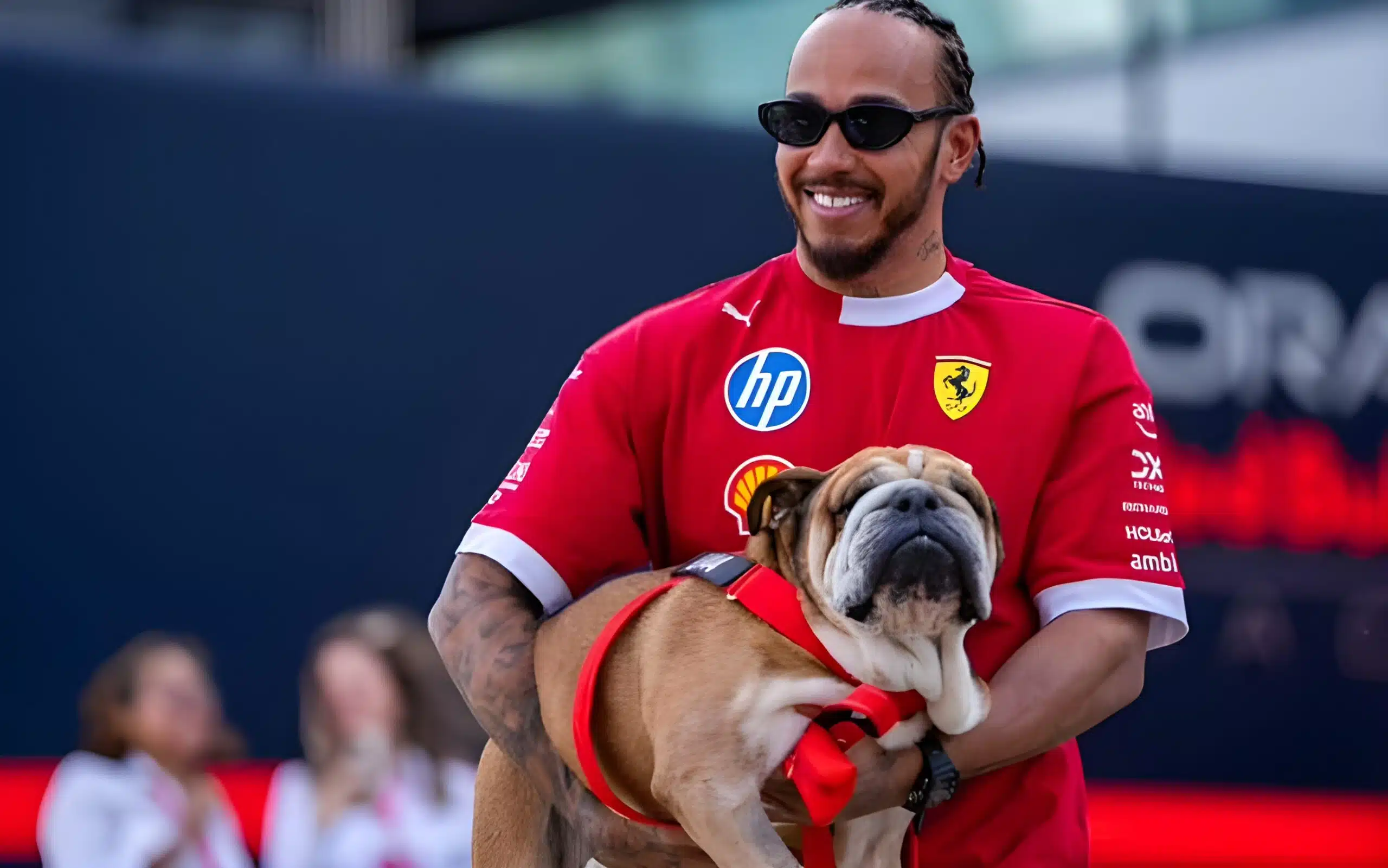 Hamilton sèche un test Pirelli pour rester au chevet de Roscoe Q_PgWIhP (1)